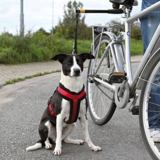 biker set pour vélo chien