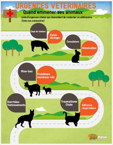 infographie d'urgences vétérinaires