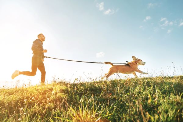 Canicross : le sport de l'été qui a du chien !