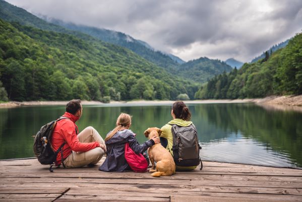 Partir en vacances avec son chien : les 10 règles Dog Friendly