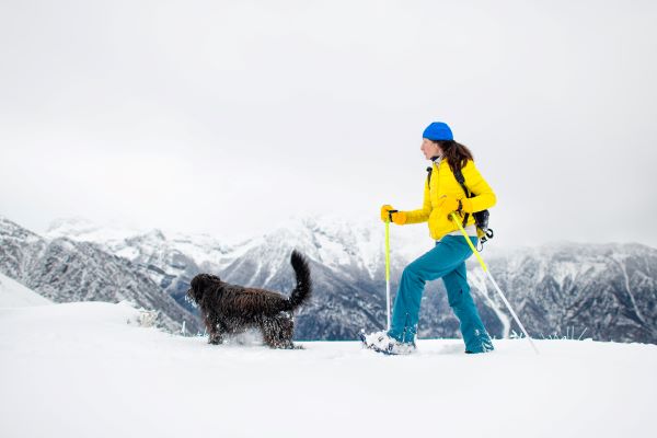 Sports canins hiver : Cani-raquettes