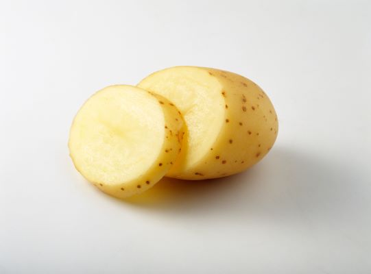DIY Coussinet Chien : rondelle de pomme de terre