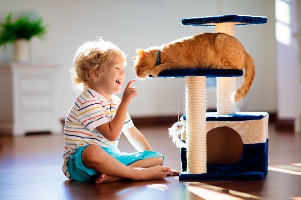 News Zoomalia : Top 10 arbre à chat tendance, petit garçon qui joue avec son chat sur son arbre.