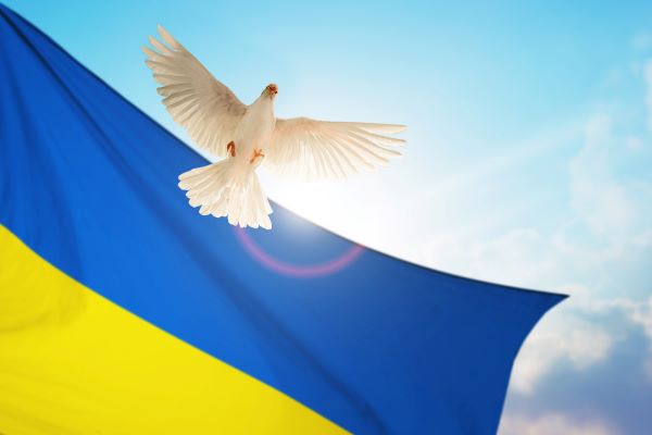 Colombe qui vole au-dessus du drapeau bleu et jaune : symbole de la paix en Ukraine