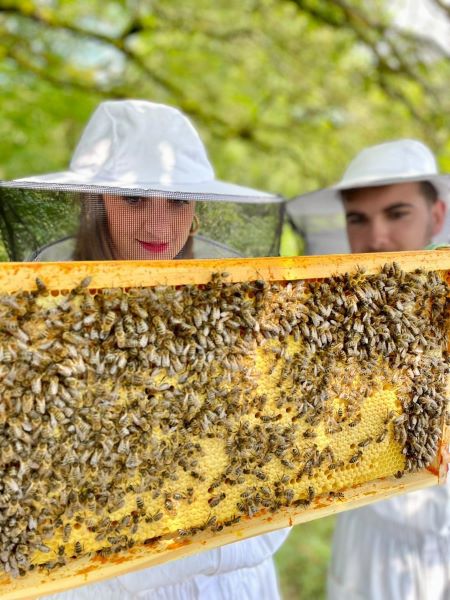 Apithérapie : Zoomalia parraine une ruche chez abeilles et compagnie