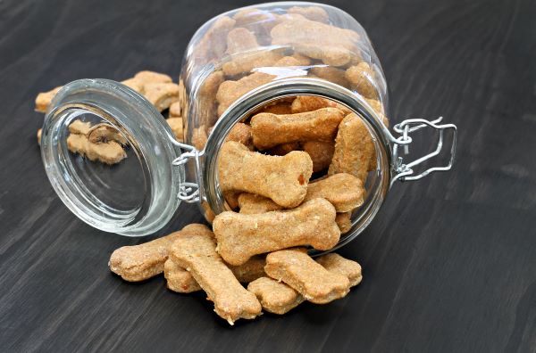 DIY Biscuit pour chien : conservation dans un bocal