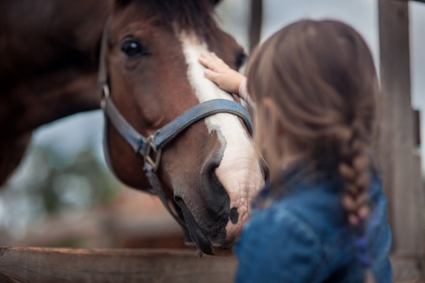 Podcast gratuit sur les chevaux pour les enfants et les parents