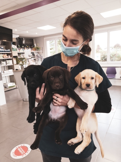 Alice en clinique vétérinaire avec 3 chiots dans les bras