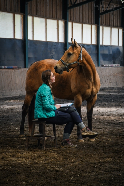 Alix en train de communiquer avec un cheval