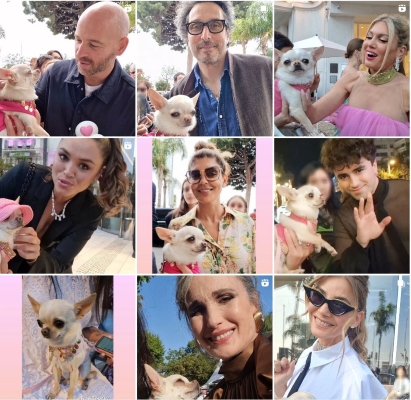 Le Festival de Cannes : Savanna et les stars de cinéma font des selfies sur le tapis rouge