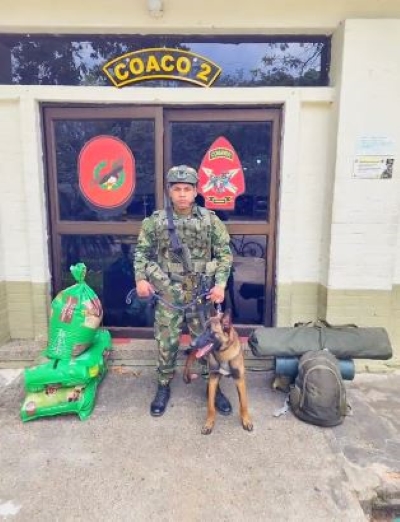 Wilson chien militaire et son maître soldat