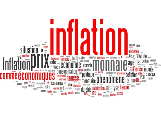 Zoomalia face à l'Inflation en France : nuage de mots