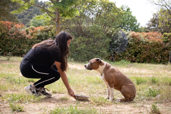 Comparatif Croquettes pour Chien stérilisé : jeune femme qui donne à manger à son chien dehors