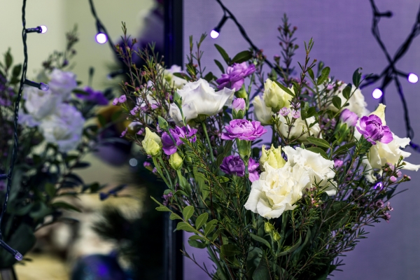 Bouquet de Lisianthus colorés : plantes non toxiques pour les chats