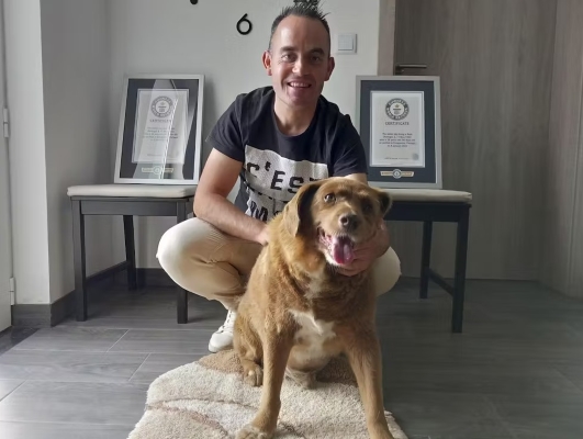 Bobi et son maître : le plus vieux chien du monde dans le Guinness des Records