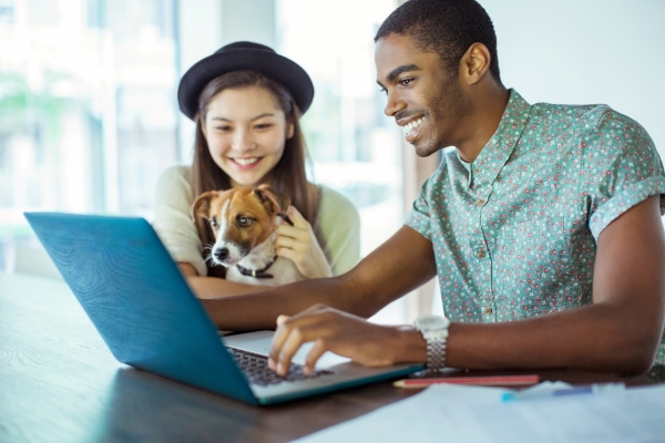Jeunes avec un chien devant un ordinateur qui cherchent un emploi avec les animaux
