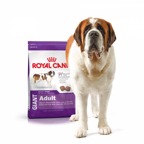 Royal canin pour chien et l'impact de la taille