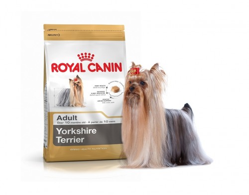 Royal Canin pour chien selon sa race
