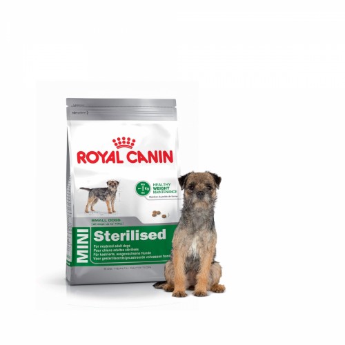 Royal Canin pour chien : stérilisé ou non ?