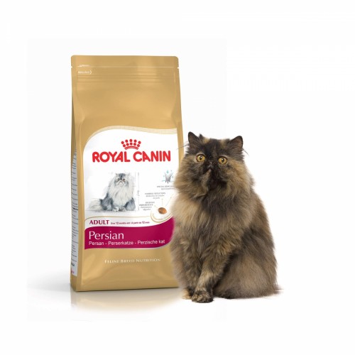 royal canin pour chat selon les races