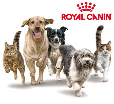 histoire Royal Canin marque