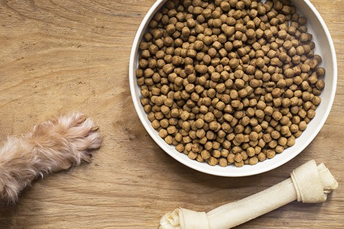 Eukanuba ou Royal Canin et l'importance de l'alimentation chez le chien