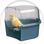 Un canario posado en una bañera para pájaros