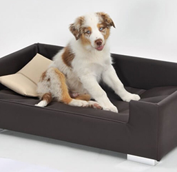 sofá para perros pequeños