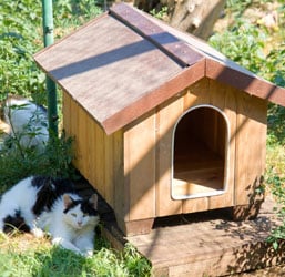 casita de exterior para gatos