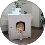 Un gato saliendo del mueble arenero zolia