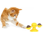 Un gatito con un juguete interactivo para gatos