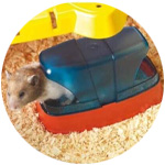 Un ratoncito usando una bandeja sanitaria para conejos y roedores