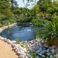 bassin dans un jardin pour poissons