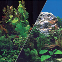 Poster pour décoration d'aquarium