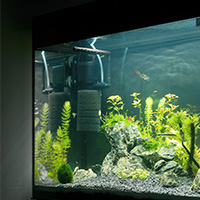 pompe à air aquarium