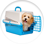 Un perrito pequeño en un transportín de plástico