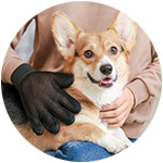 gant brosse pour chien 