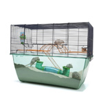hamster dans sa grande cage