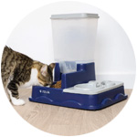 Un gato bebiendo agua en un dispensador de agua y pienso para gatos Zolia