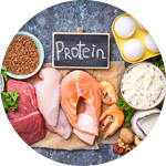 proteine alimentation