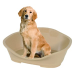 Un perro en una cesta de plástico beige