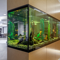 grand aquarium design dans une maison 