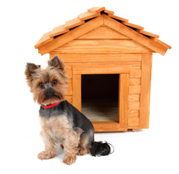 Un perrito delante de una caseta barata para perros