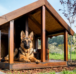 Caseta para perros con terraza