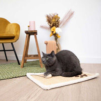 tapis griffoir pour chat