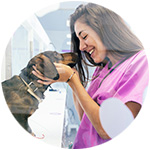 chien avec un vétérinaire pour le vermifuge