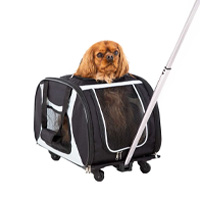 Un perro dentro de una mochila con ruedas