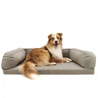 Un perro grande sobre el sofá para perros newton zolia orthopedic