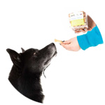 un perro espera que le den una galleta