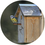 nichoir en bois pour oiseaux